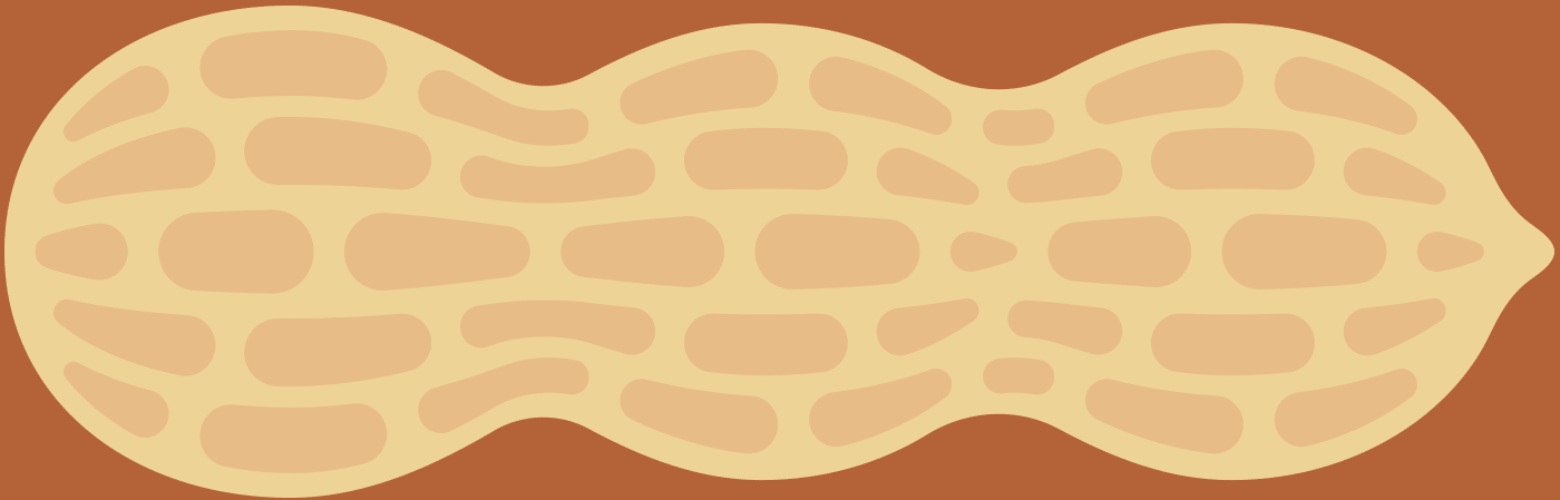 valencia peanut inshell