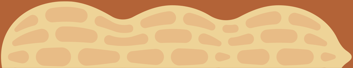 valencia peanut inshell organic