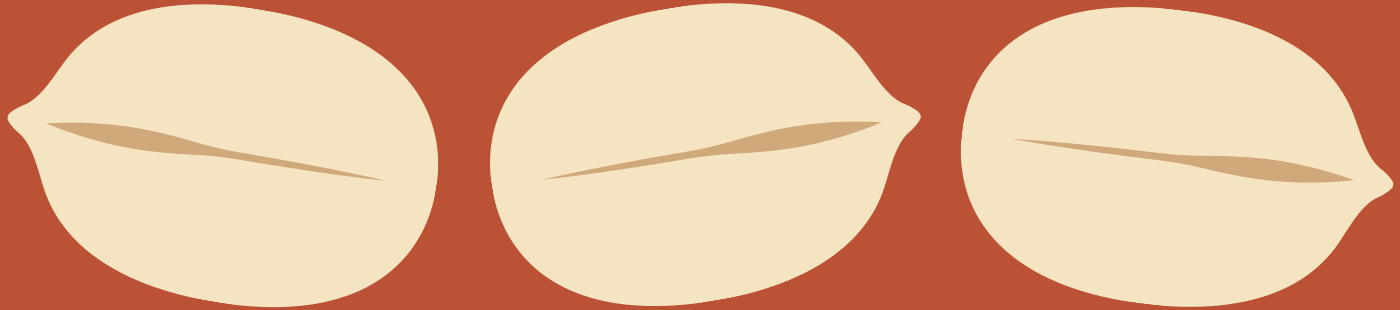 virgina peanuts shelled organic